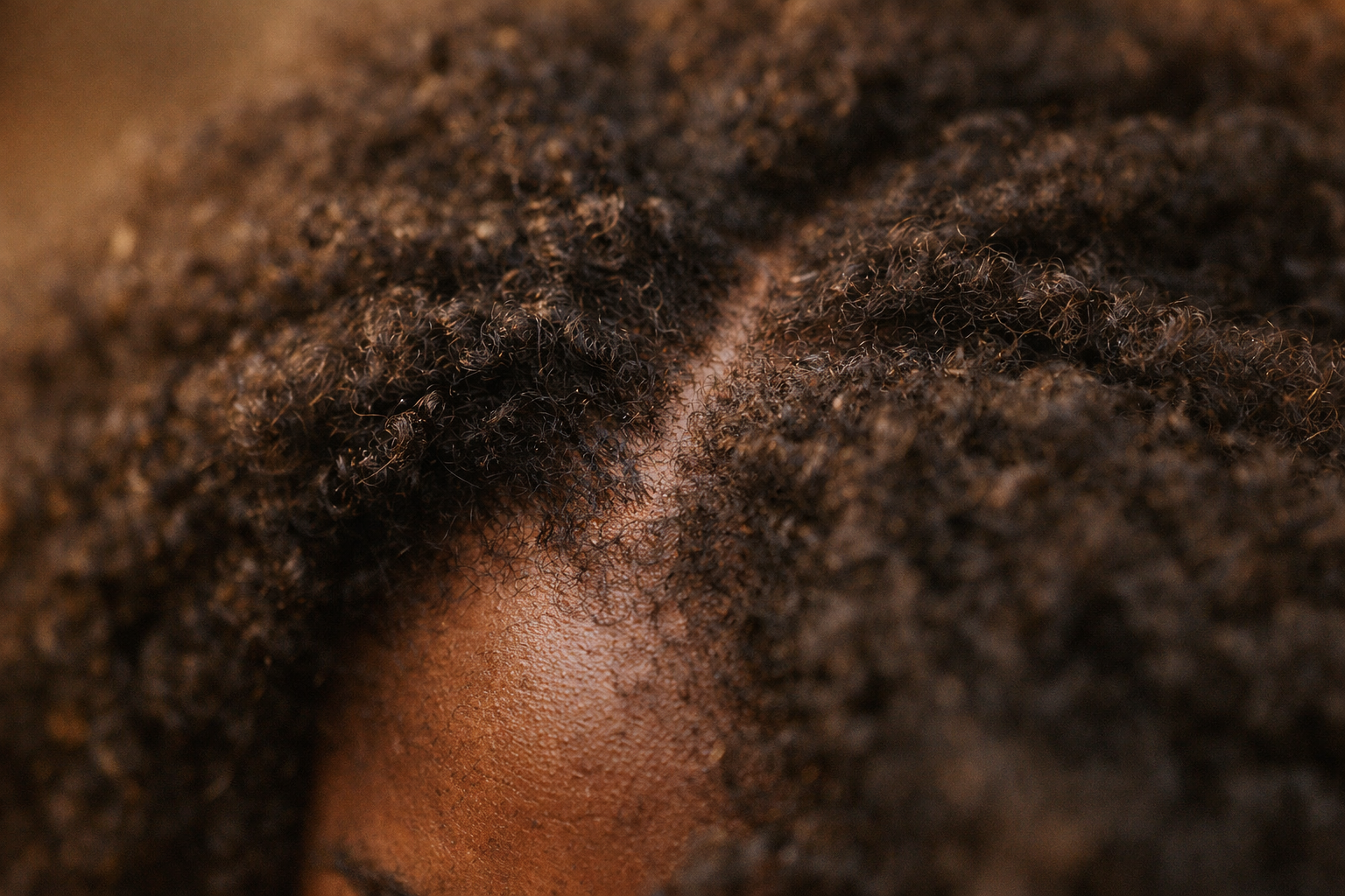 Le cuir chevelu — une base invisible