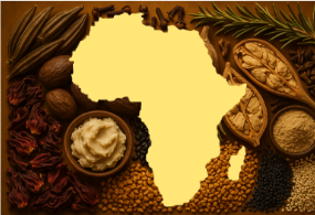 Kanfura – Beauté enracinée